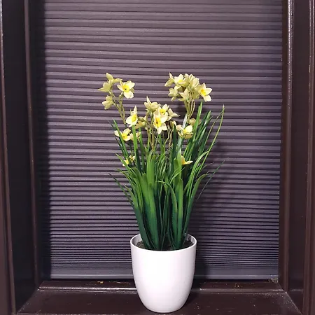 Loft Do Ma リスボン